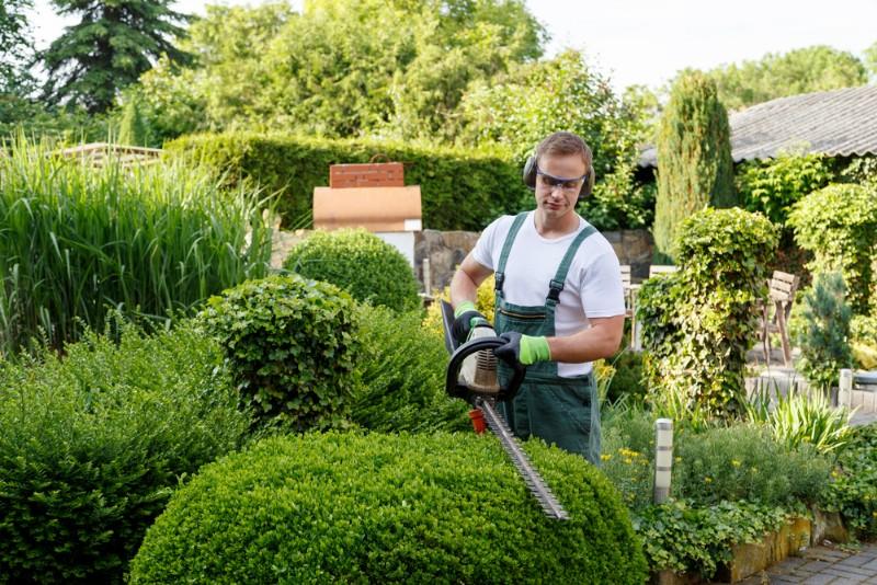 Jardinier paysagiste Jardinier paysagiste