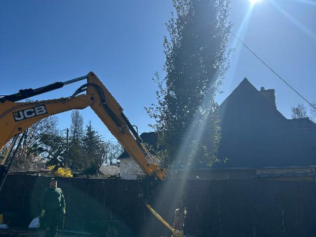 Rénovation d un jardin à Tourgéville
